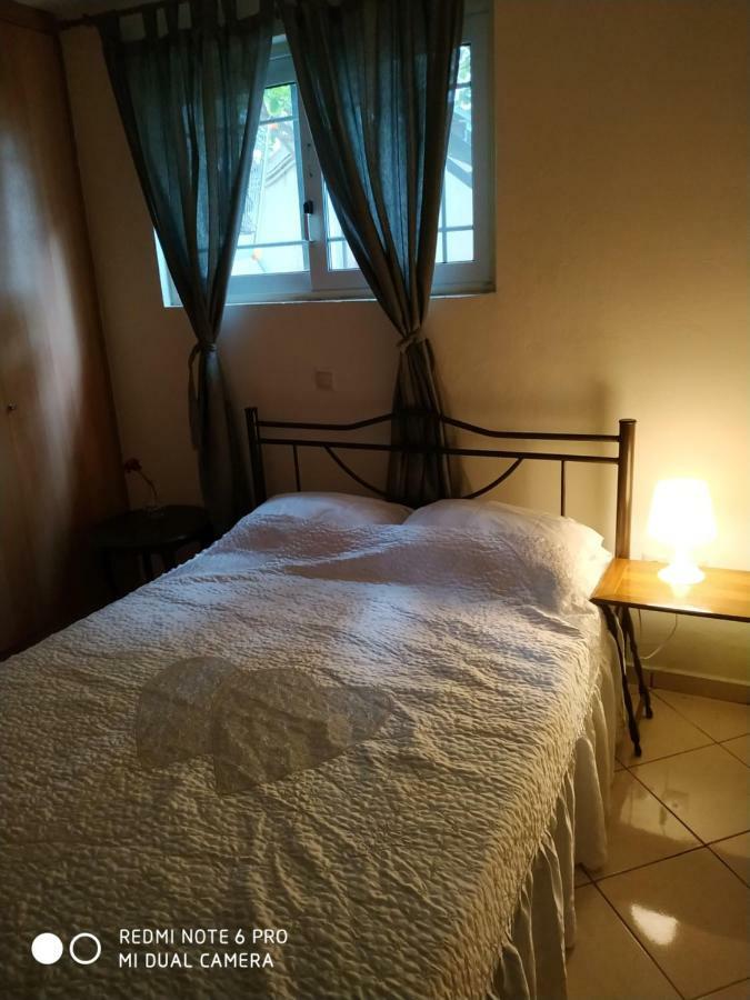 Stavros Apartments アルテミダ エクステリア 写真