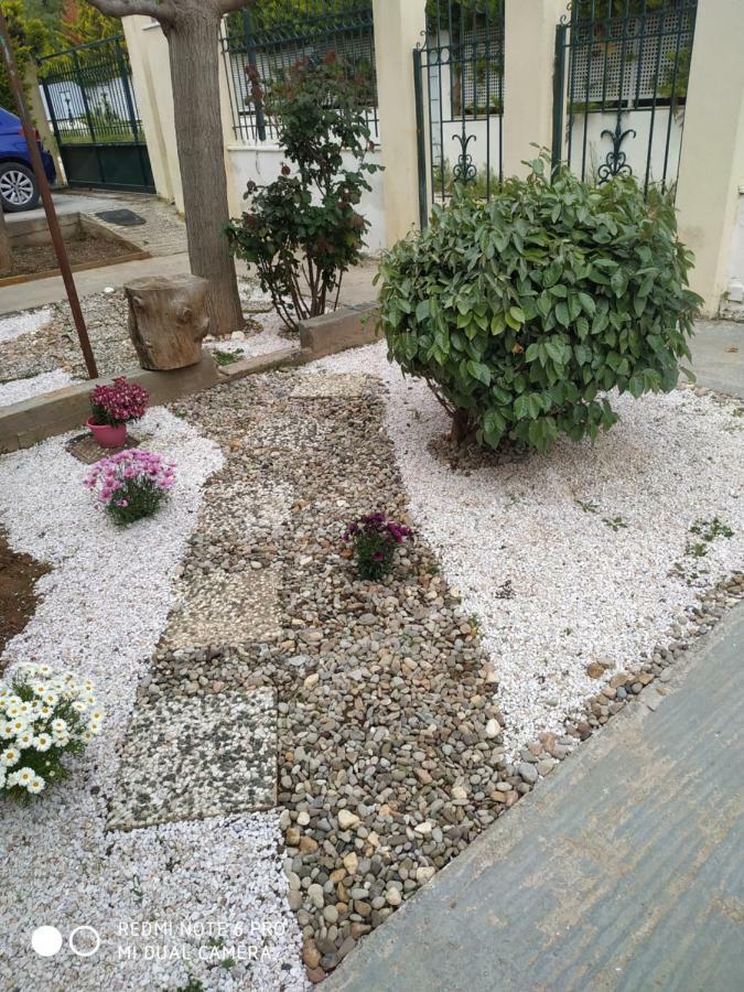 Stavros Apartments アルテミダ エクステリア 写真